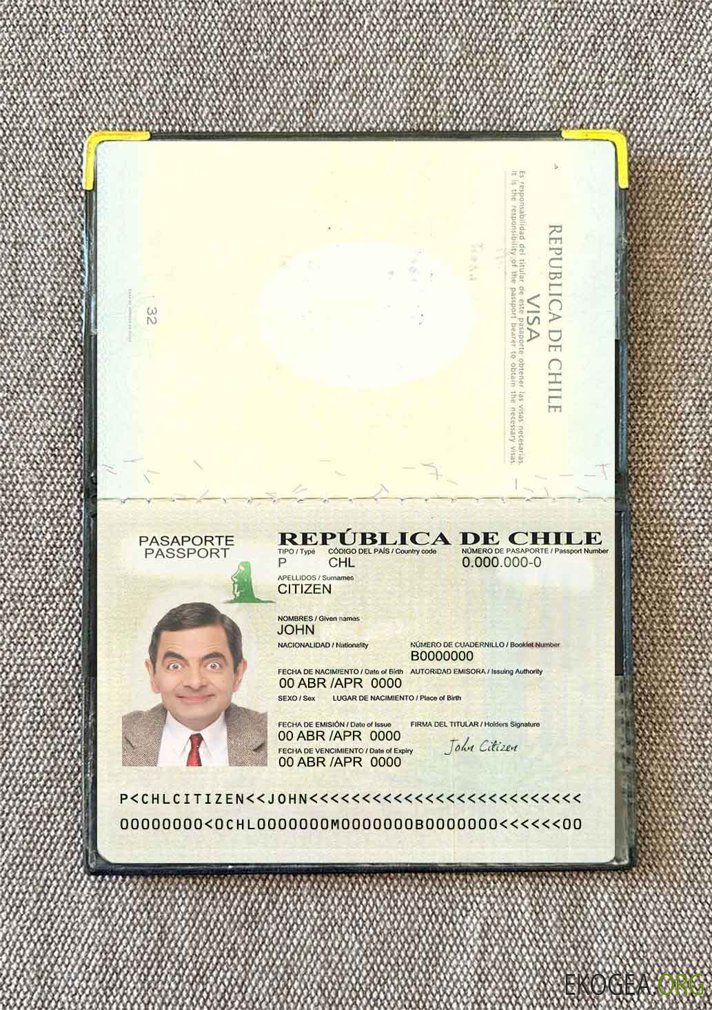 Look photo du passeport chilien version 2